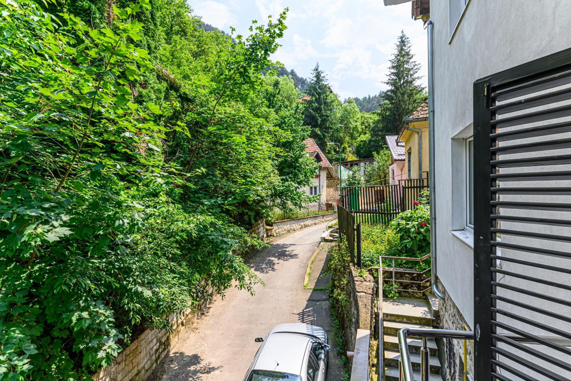 C Alex Apartment Brașov Exterior foto